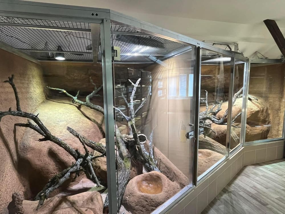 Terrarium exhibit
