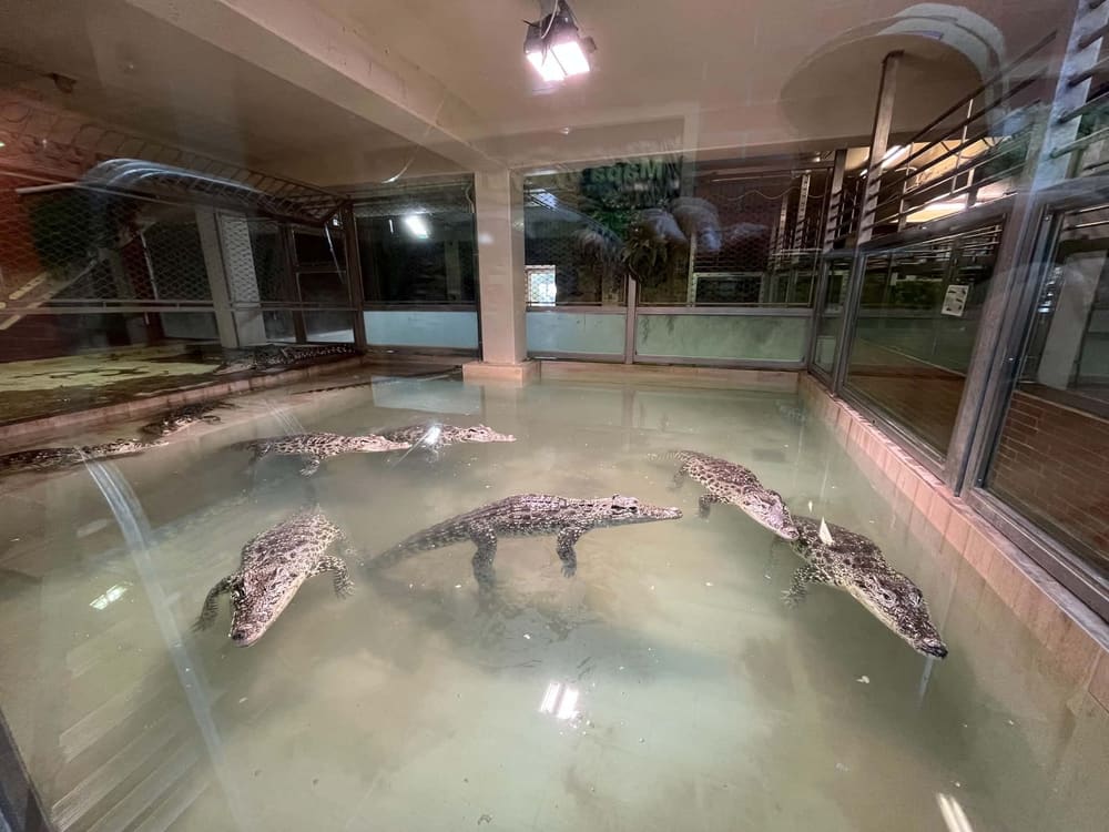 Crocodile Zoo Protivín