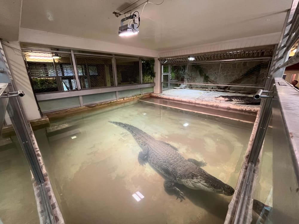 Crocodile Zoo Protivín